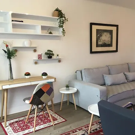 Deluxe Apartment *