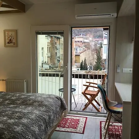 Deluxe Apartment *